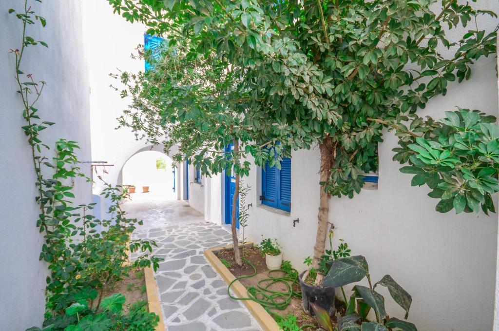 Summer Dream 1 Agios Prokopios  Zewnętrze zdjęcie